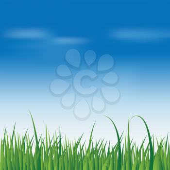 Royalty Free Clipart Image of a Spring fresh green grass over blue sky background