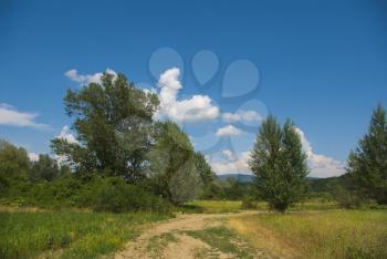 Royalty Free Photo of a Rural Path in a Field
