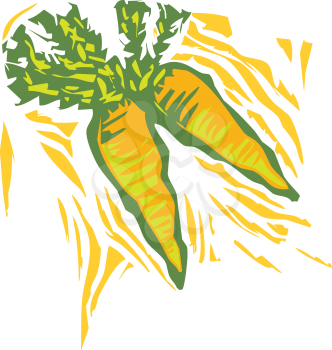 Royalty Free Clipart Image of Carrots
