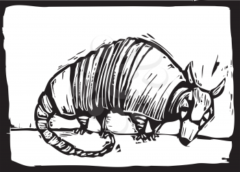 Royalty Free Clipart Image of a Small Armadillo