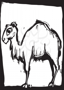 Royalty Free Clipart Image of a Camel