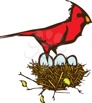 Woodcut style image of a Cardinal with a nest of eggs.