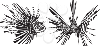 Woodcut style image of a tropical lionfish from the front and side