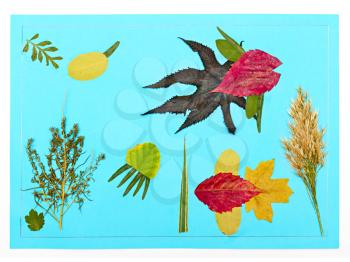 Royalty Free Photo of Children Applique of Autumn Leaves