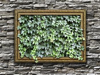 frame on the stone wall with green leaves inside