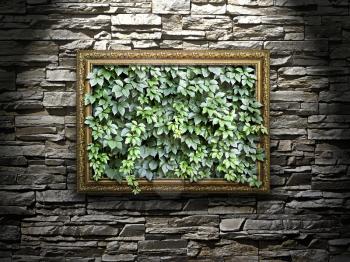 frame on the stone wall with green leaves inside

