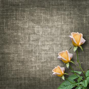 Royalty Free Photo of a Sackcloth Background With Roses