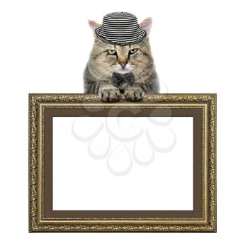 cat in a hat and tie butterfly relies on the picture frame isolated on white background