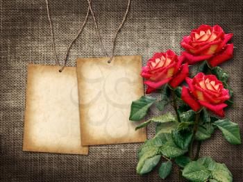 Royalty Free Photo of a Vintage Background With Tags and Roses