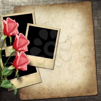 Royalty Free Photo of Polaroids With Roses