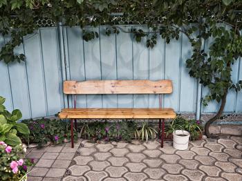 wooden bench near the fence with ivy

