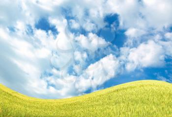 Beautiful distorted summer landscape with sky and field