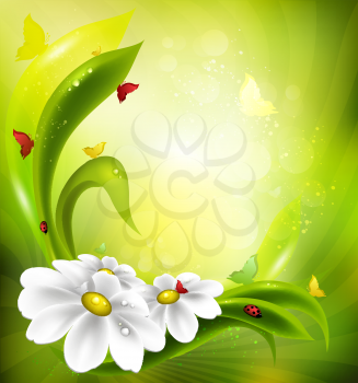 Summer Background With Chamomile, Ladybird, Grass And Butterflies
