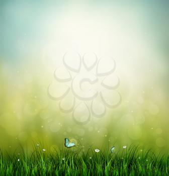 Summer Background With Grass, Flower And Butterfly 