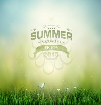 Summer Background With Grass, Flower And Butterflies And Title Inscription