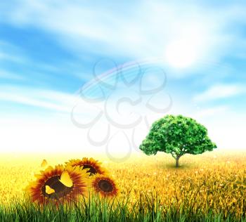 Summer Landscape With Field, Sky, Sun, Rainbow, Tree, Grass, Sunflowers And Butterflies