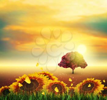 Summer Landscape With Field, Sky, Sun, Sunset, Tree, Grass, Sunflowers And Butterflies
