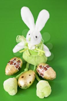 Royalty Free Photo of an Easter Bunny