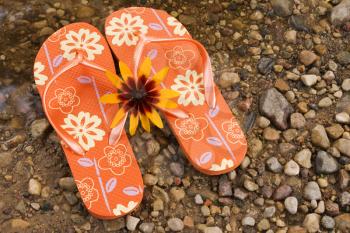 Royalty Free Photo of a Flower on Flip Flops