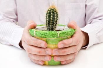 Royalty Free Photo of a Person Holding a Cactus