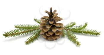 Royalty Free Photo of a Pine Cone and Needles
