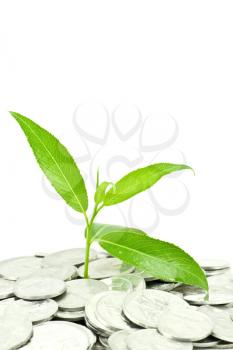Royalty Free Photo of a Financial Growth Concept