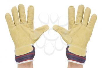 Royalty Free Photo of a Person Wearing Gloves