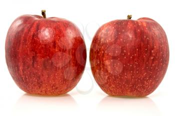 Royalty Free Photo of Two Apples