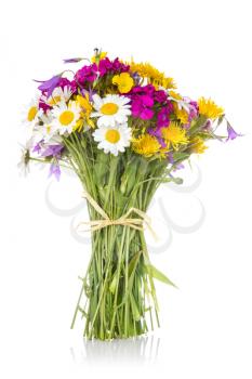 Beautiful bouquet of bright wildflowers on a white background