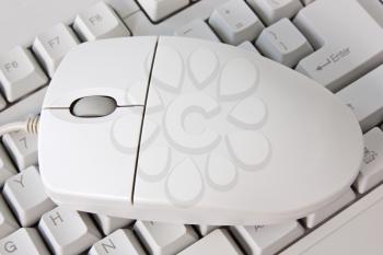   keyboard and the mouse for a computer 