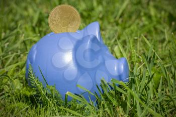Blue piggy bank with coin on the green grass