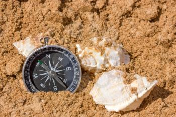 Compass and seashells in the beach sand