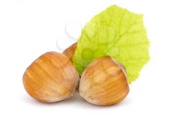 Hazelnuts with leaf over a white background
