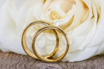 Golden wedding rings with white rose in the background