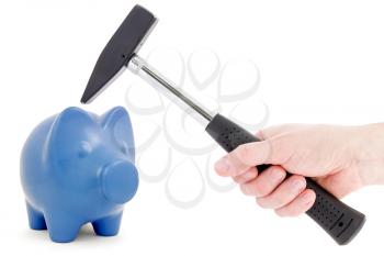 Hand with hammer is raised above a  piggy bank