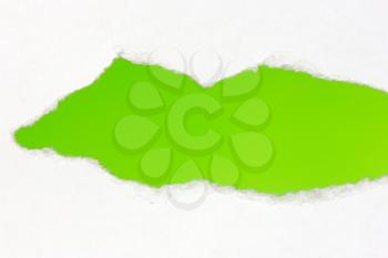 Torn white paper with green space for your text