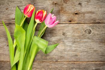  Three beautiful tulips on wooden background with copy-space