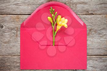 Feesia flower in red envelope,top view on wooden background