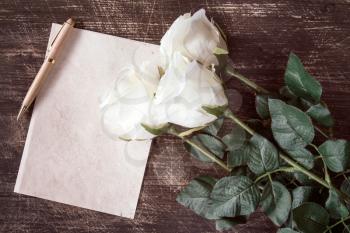 Pen lying on blank paper card with white rose background