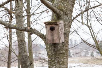 Little bird house on a tree in  winter park 