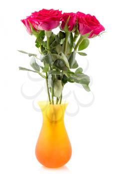 Bouquet of blossoming red roses in vase isolated on white background
