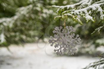 Silver Christmas Decoration (Snowflake) Hanging on the Fir Branch  