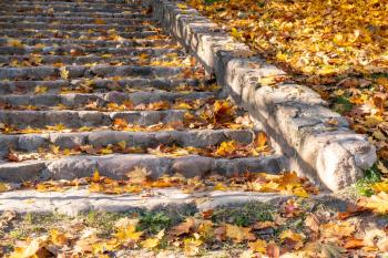 Autumn in the city park, concrete stairs strewn with fallen yellow and orange leaves 