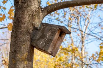 Empty wooden birdhouse on a tree in autumn park