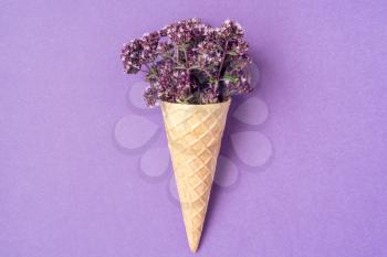 Herbs in a waffle cone on a purple background. Flat lay, top view.