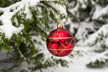 Red Christmas Ball on the snow covered Fir Branch