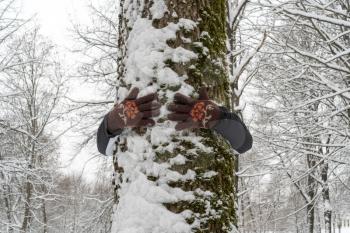 Man embracing snowy tree trunk - environment protection concept