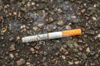 Cigarette butt thrown on the pavement. Concept for DO NOT LITTER