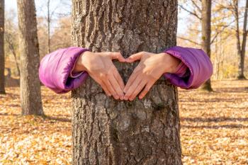 Child's hands making a heart shape on a tree trunk
