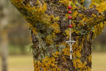 Rosary cross hanging on the tree branch